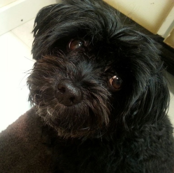 Meet your Posher, K - Picture 1 of 1